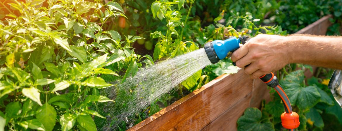 Tuincentrum De Schouw | Bewateringstips voor de zomer Tuincentrum De Schouw | Bewateringstips voor de zomer