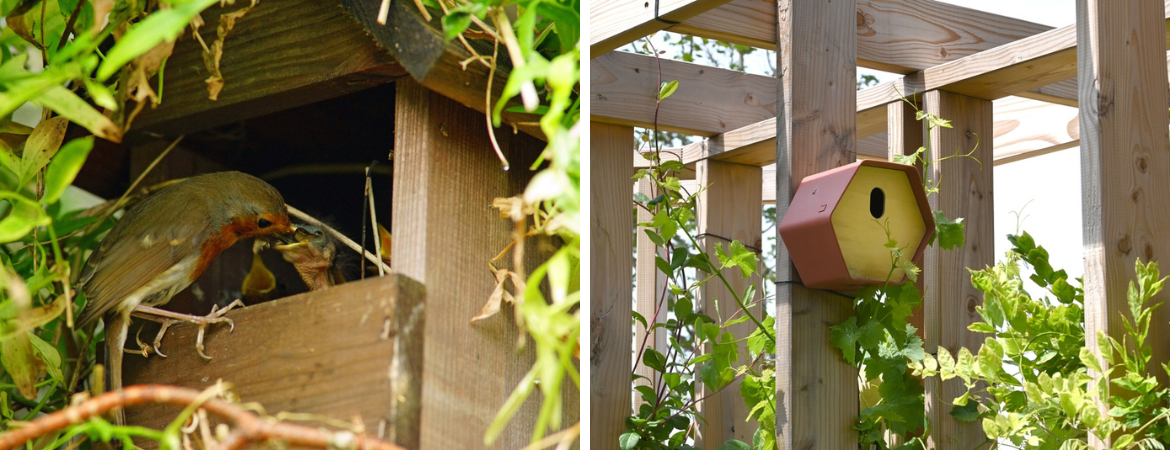Tuincentrum De Schouw | Wat is de juiste nestkast voor vogels in de tuin? Tuincentrum De Schouw | Wat is de juiste nestkast voor vogels in de tuin?