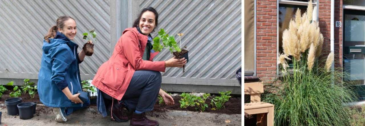 Tuincentrum De Schouw | Waarom de herfst het ideale plantseizoen is Tuincentrum De Schouw | Waarom de herfst het ideale plantseizoen is