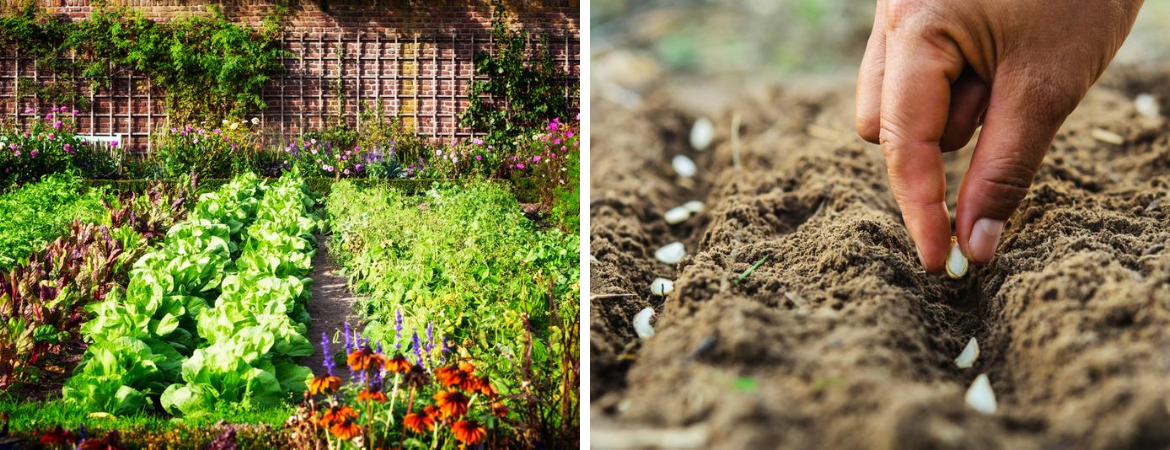 Biodiversiteit in de tuin verbeteren Tuincentrum De Schouw Biodiversiteit in de tuin verbeteren Tuincentrum De Schouw