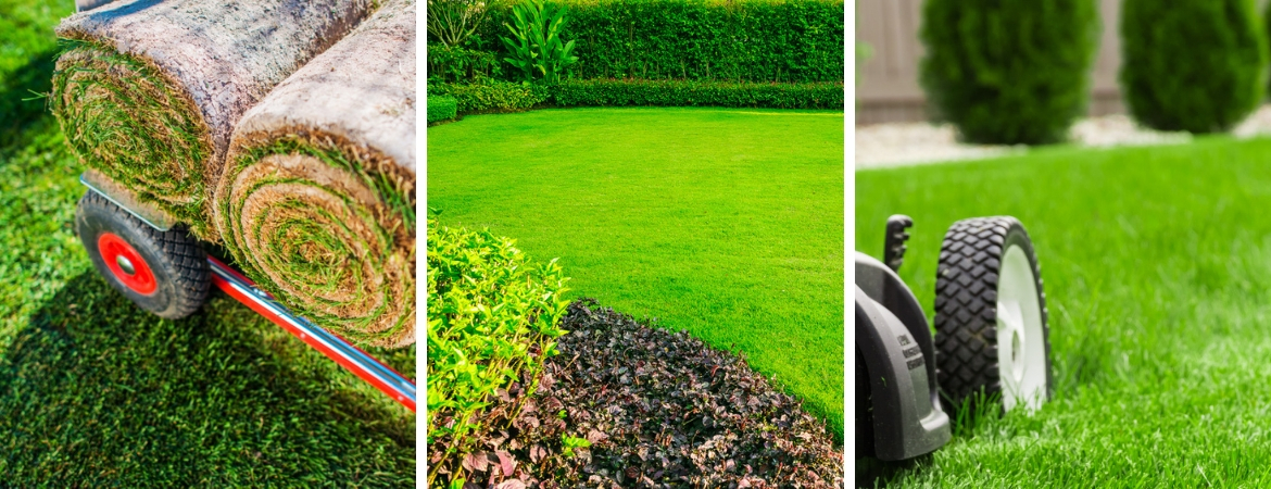Alles voor een mooi en groen gazon vindt u bij Tuincentrum De Schouw in Houten Alles voor een mooi en groen gazon vindt u bij Tuincentrum De Schouw in Houten