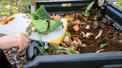 Landelijke Compostdag 2022