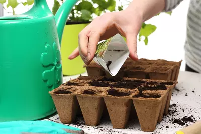 Tuin voorjaarsklaar? Zaaien maar!