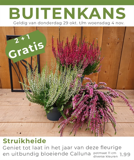 Weekaanbieding