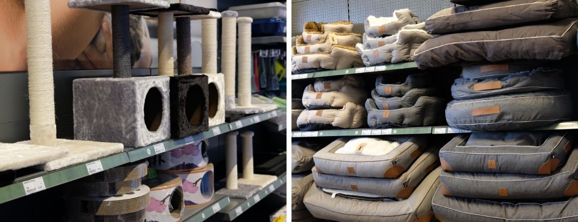 Dierenbenodigdheden voor katten vindt u bij Tuincentrum De Schouw, nabij Utrecht Dierenbenodigdheden voor katten vindt u bij Tuincentrum De Schouw, nabij Utrecht
