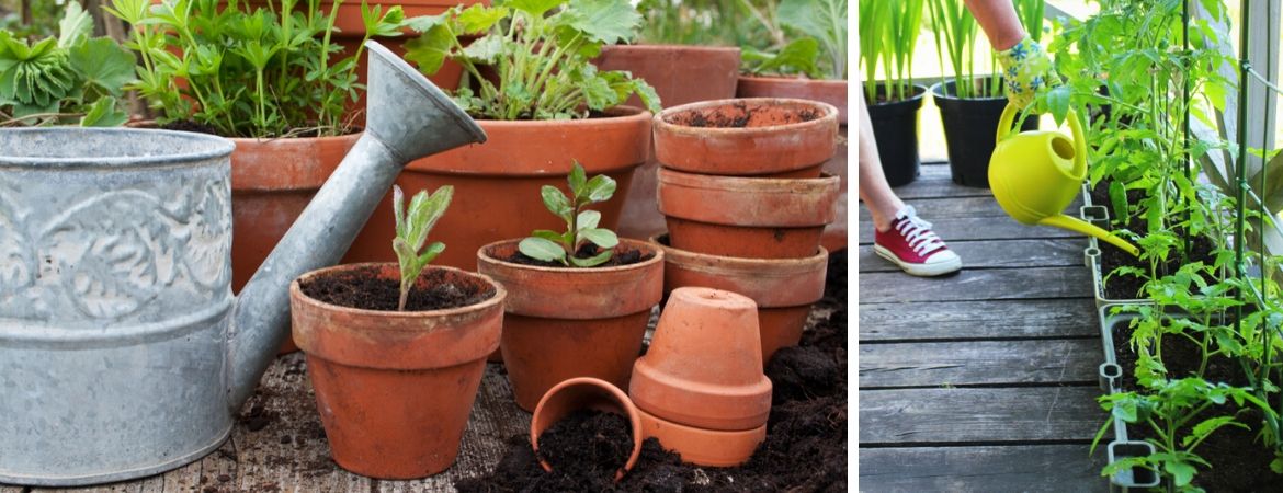 Tuincentrum De Schouw | Houten | Bewatering | Planten water geven Tuincentrum De Schouw | Houten | Bewatering | Planten water geven