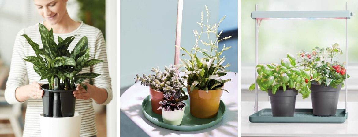 Tuincentrum De Schouw | Houten | Elho | Bloempotten Tuincentrum De Schouw | Houten | Elho | Bloempotten