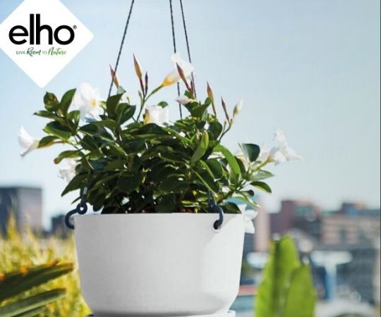 Tuincentrum De Schouw | Houten | Elho | Bloempotten Tuincentrum De Schouw | Houten | Elho | Bloempotten