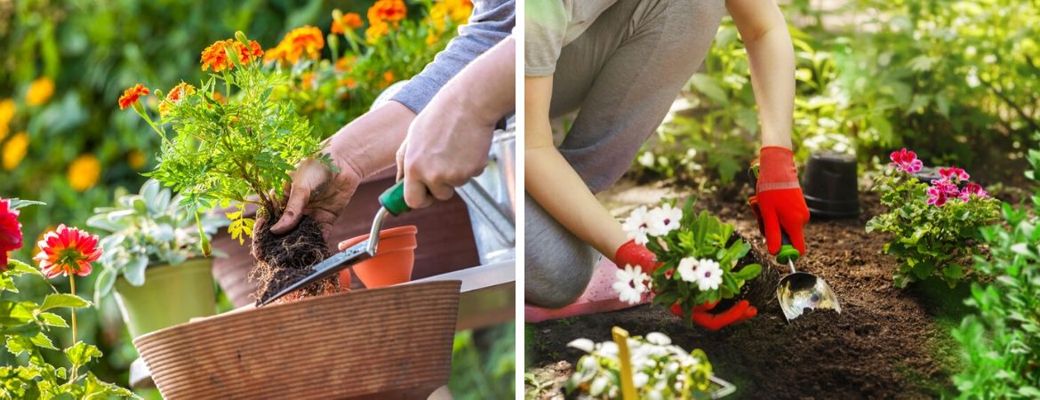 Handgereedschap | Tuincentrum De Schouw | Houten Handgereedschap | Tuincentrum De Schouw | Houten