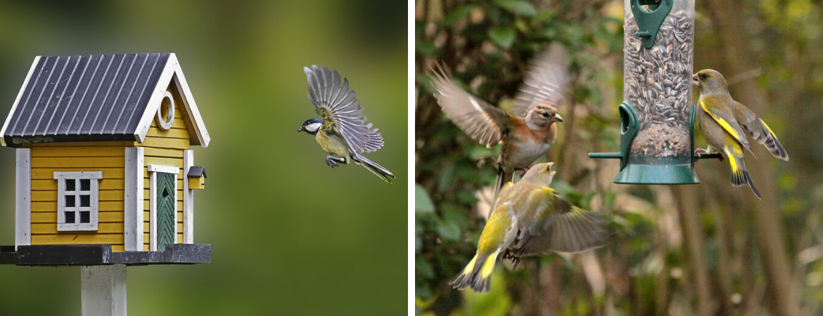 Alle benodigdheden voor vogels in de tuin bij De Schouw in Houten Alle benodigdheden voor vogels in de tuin bij De Schouw in Houten